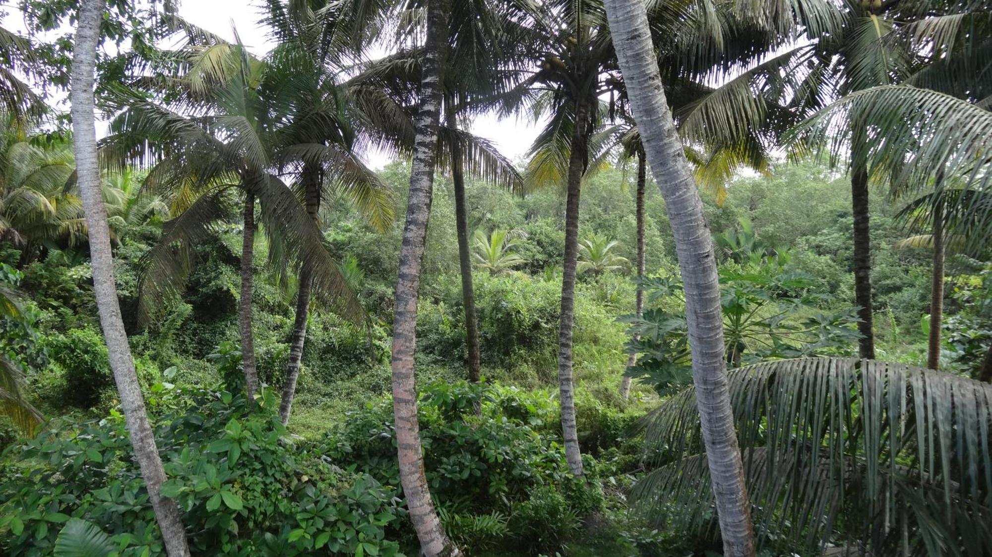 Ranil Villa Galle Luaran gambar